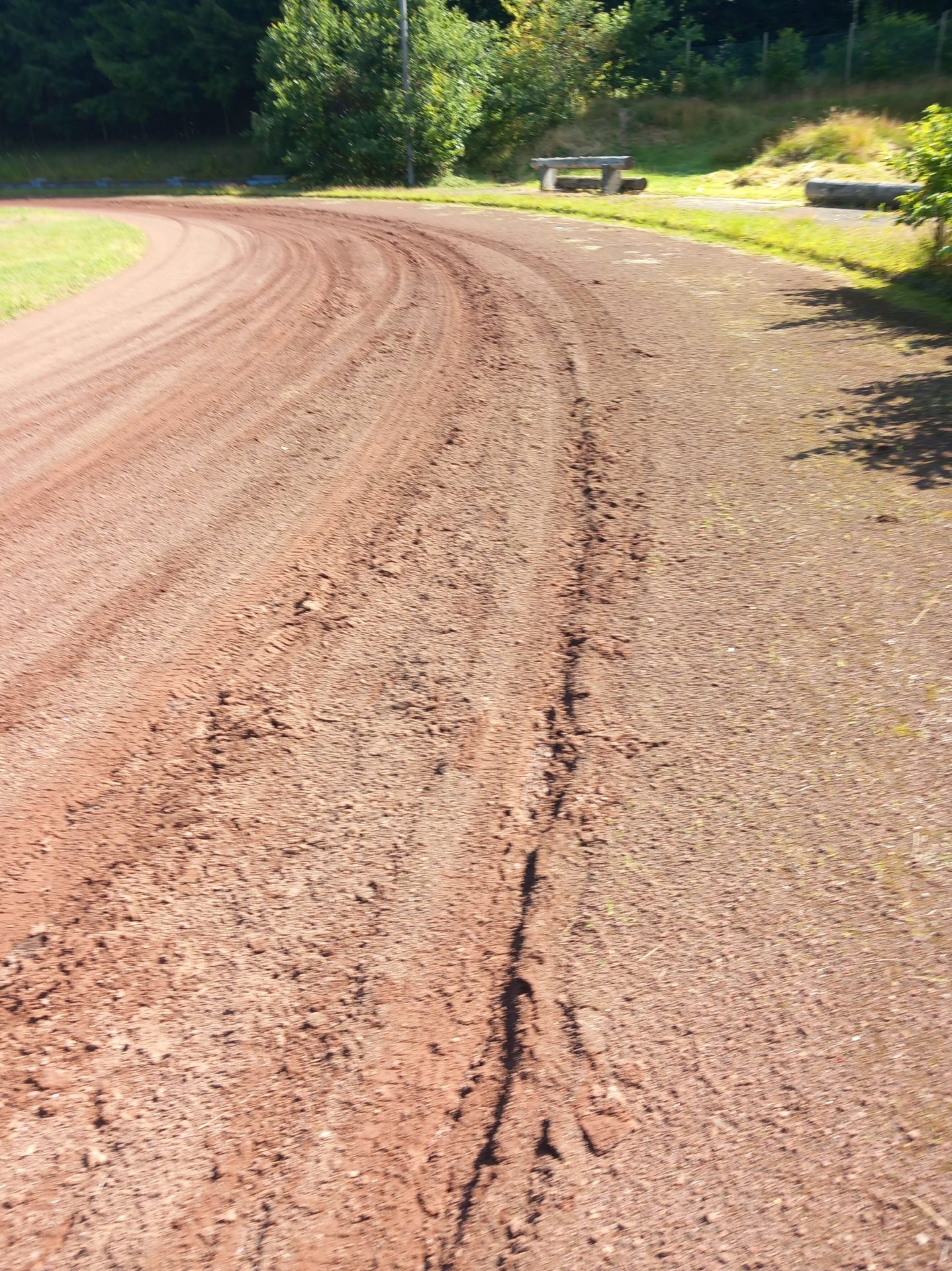 Waldstadion -Vandalismus